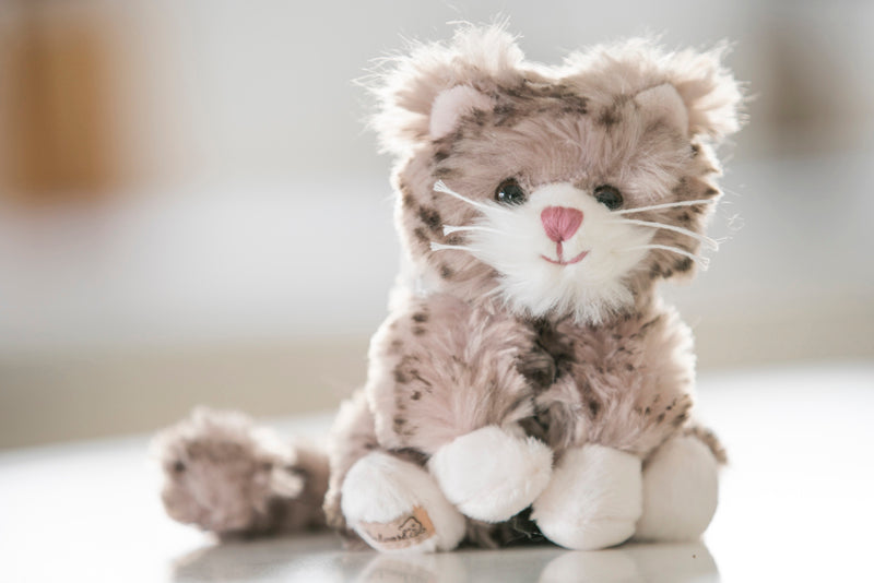 花井祐介 ACME Furniture STUFFED CAT with BOX アクメ 40周年記念 花井祐介 人形 STUFFED CAT