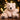 Antonio Baby Polar Bear