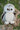 The Great Hoohoo