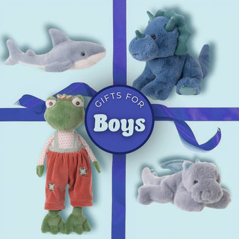Gifts For Boys