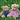 Bear Pairs
