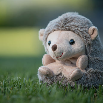 Hedgehogs