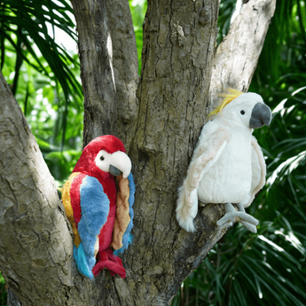 Zoo Life