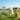 Barnyard Buddies