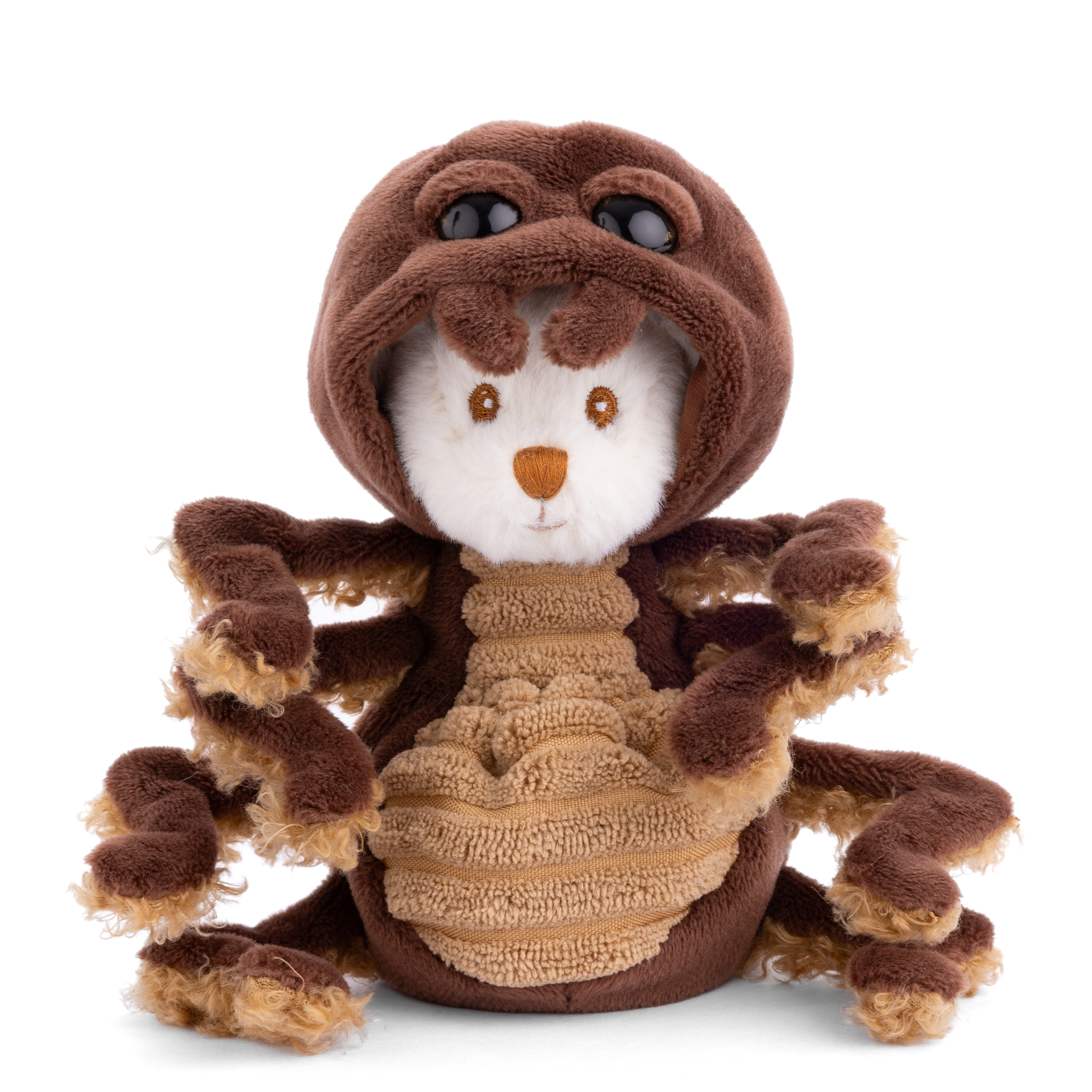 Ziggy Spider