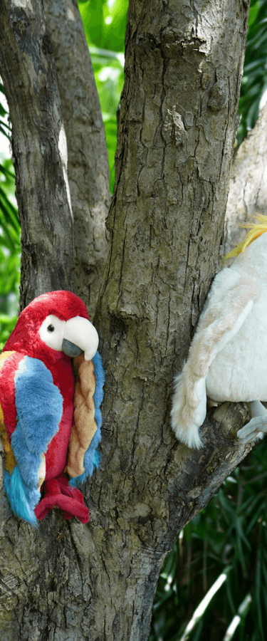 Papaya and Mango sitting in a tree