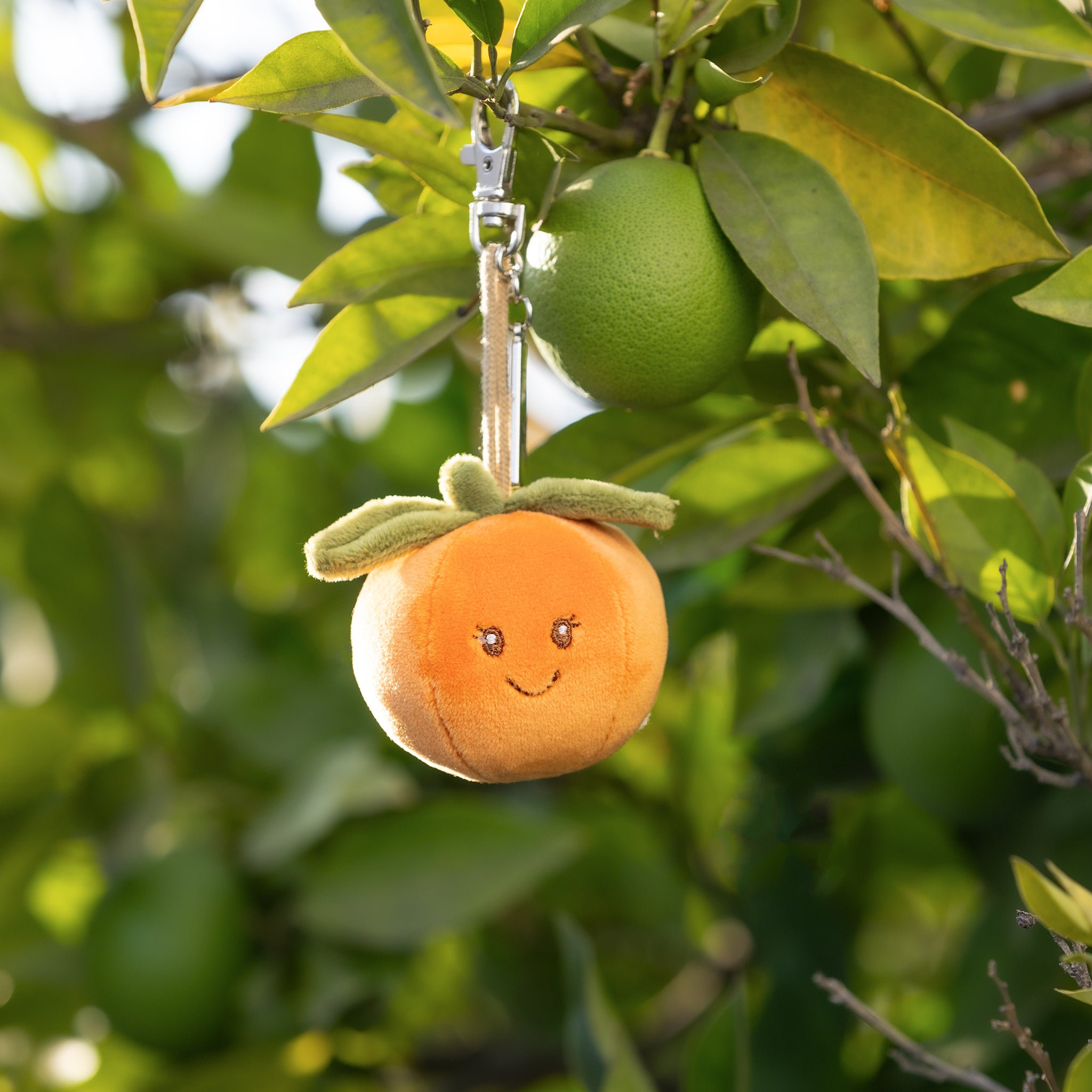 Orange Key Ring