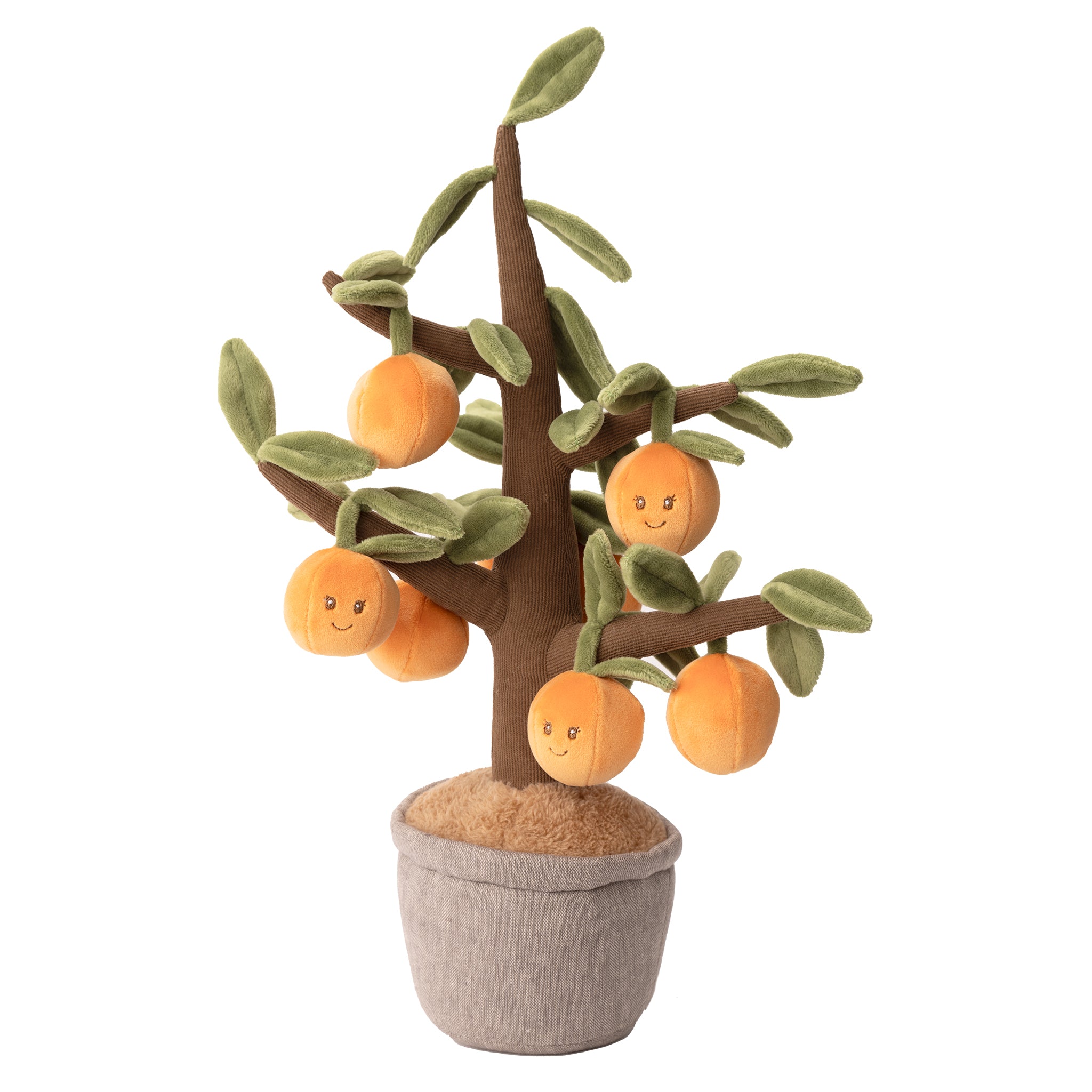 Orange Tree