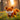 Clever Fox
