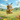 Ziggy Bee